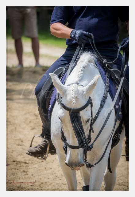 S1026561 TERRAIN DE CHAUF © by A-la-Vie.com