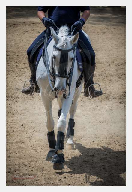 S1026565 TERRAIN DE CHAUF © by A-la-Vie.com