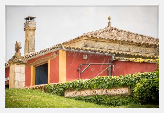 S1026856 AMBIANCE © by A-la-Vie.com