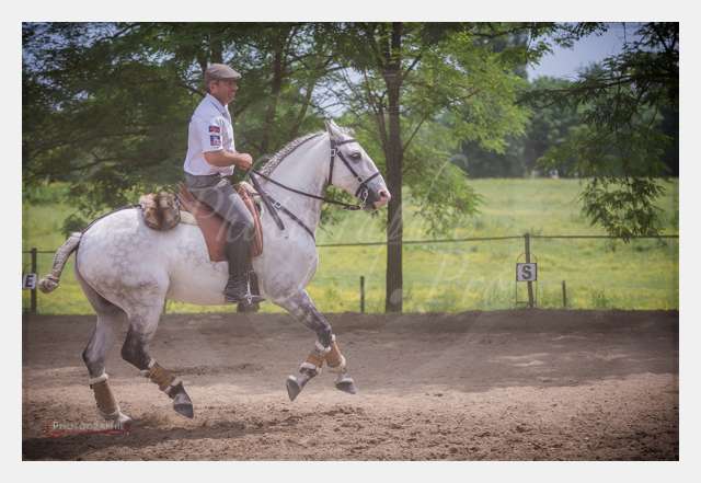 D6019081 TERRAIN DE CHAUF © by A-la-Vie.com