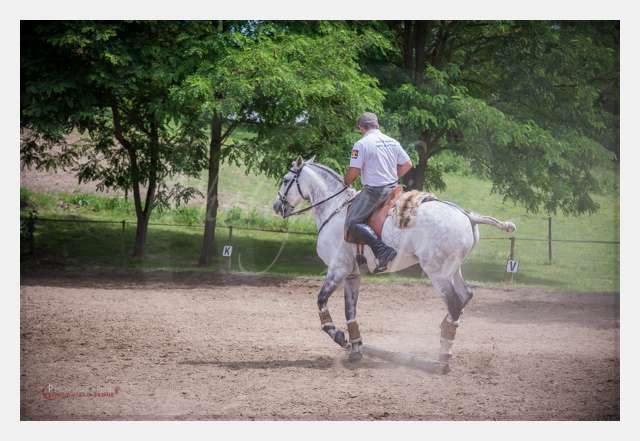 D6019092 TERRAIN DE CHAUF © by A-la-Vie.com