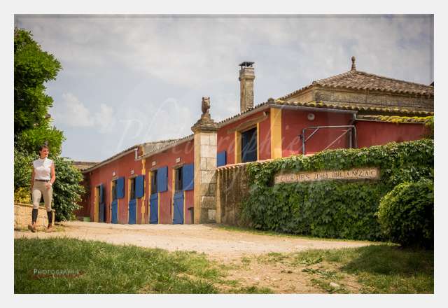 S1026863 AMBIANCE © by A-la-Vie.com