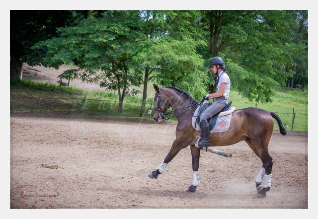 D6019114 TERRAIN DE CHAUF © by A-la-Vie.com