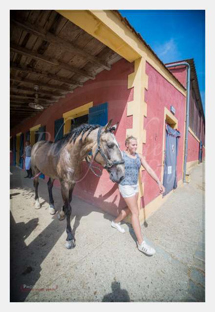 D8E_1188 AMBIANCE © by A-la-Vie.com