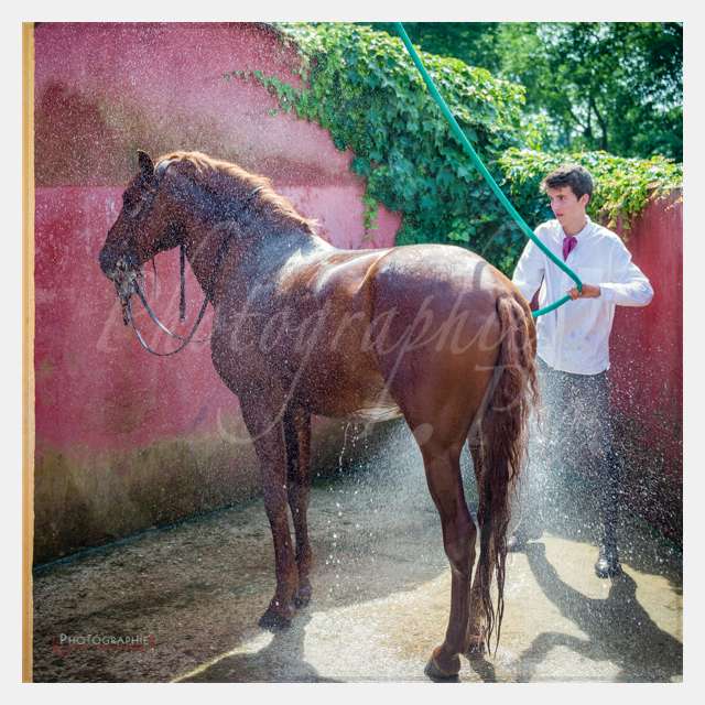 Ambiance - terrain de chauffe - remise de prix