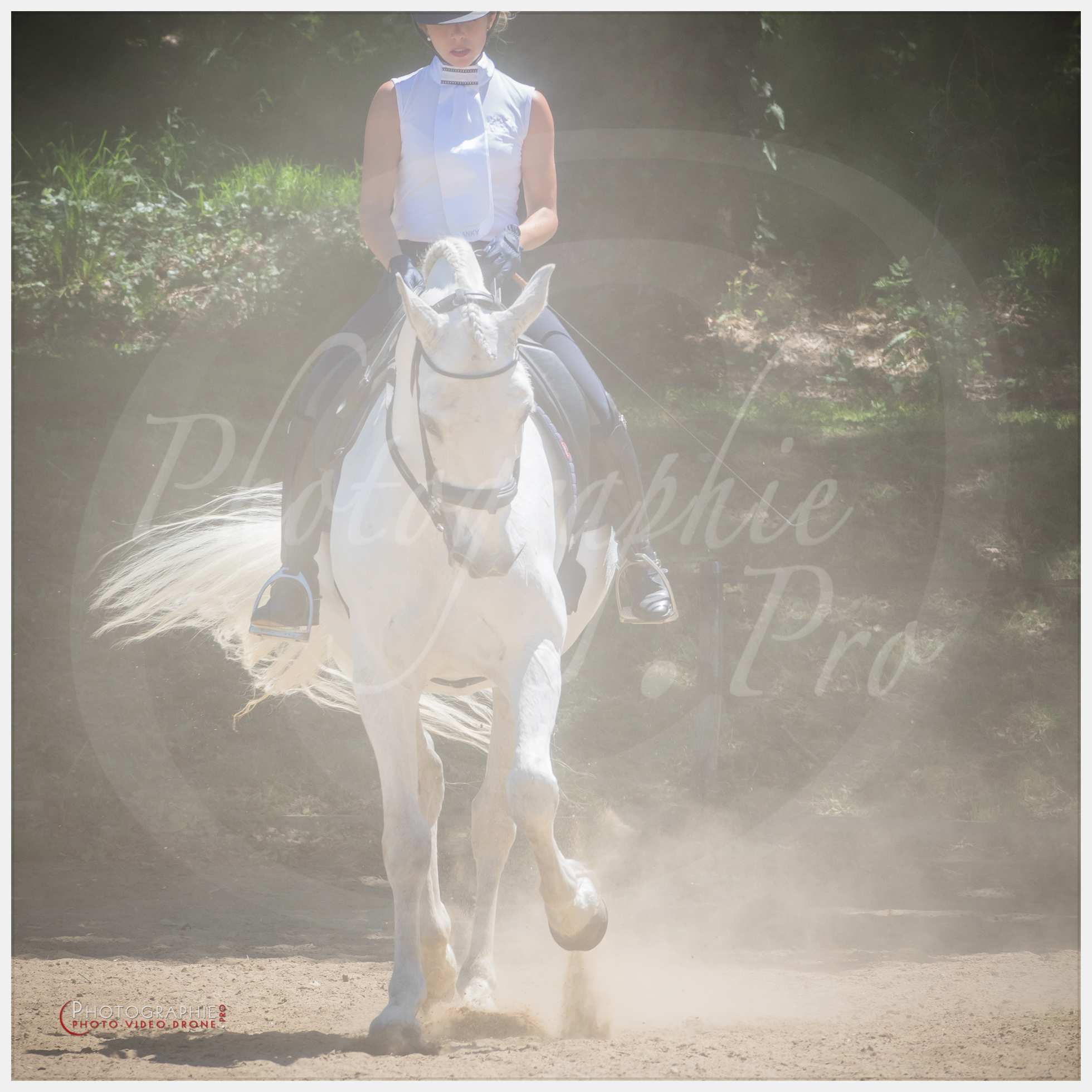 Tirages Dressage