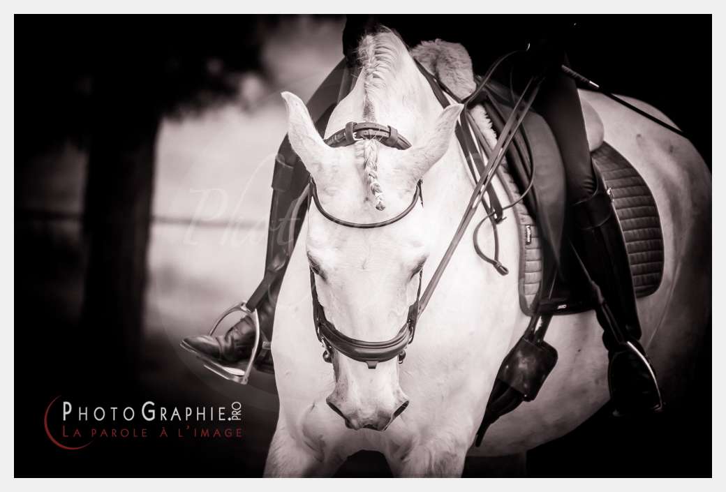 D3s141743 © by A-la-Vie.com