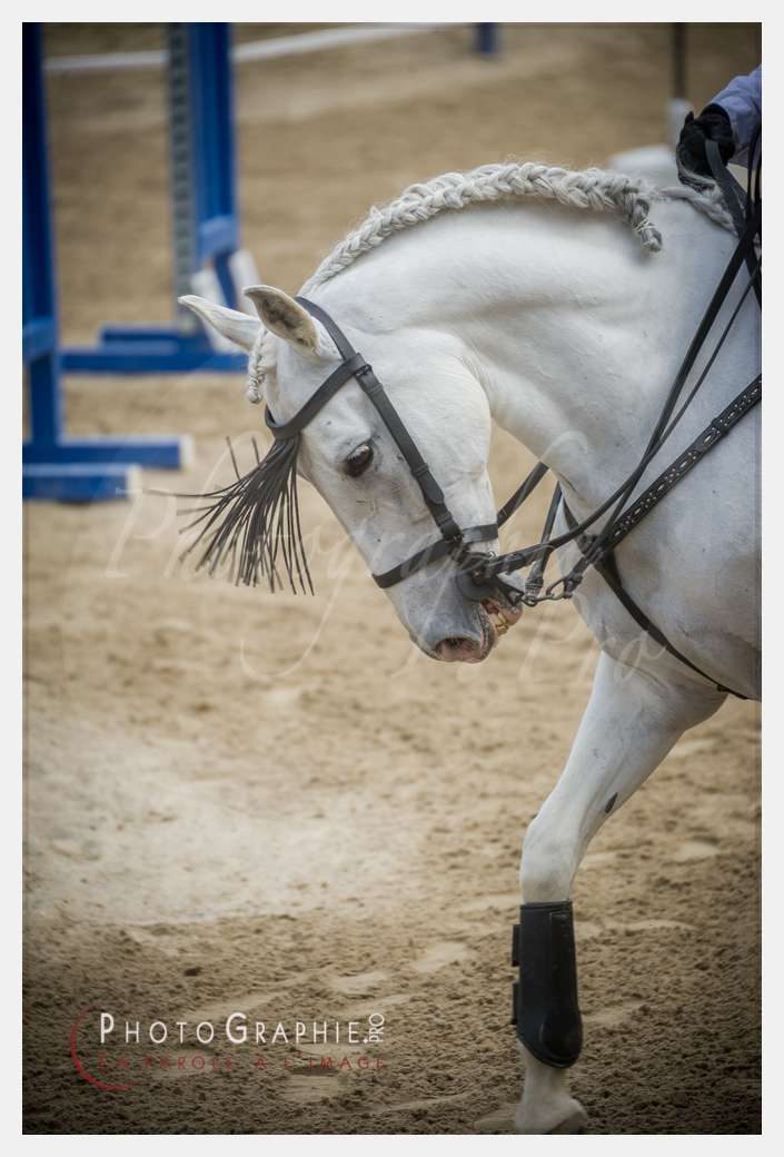 D3s141778 © by A-la-Vie.com