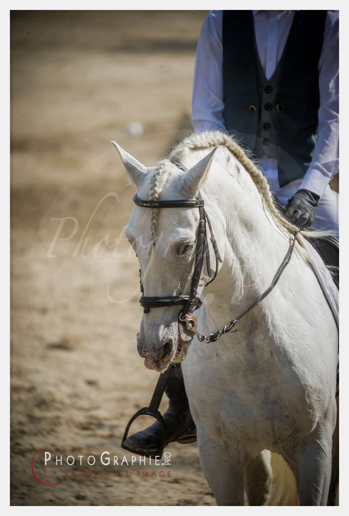 D3s141971 © by A-la-Vie.com