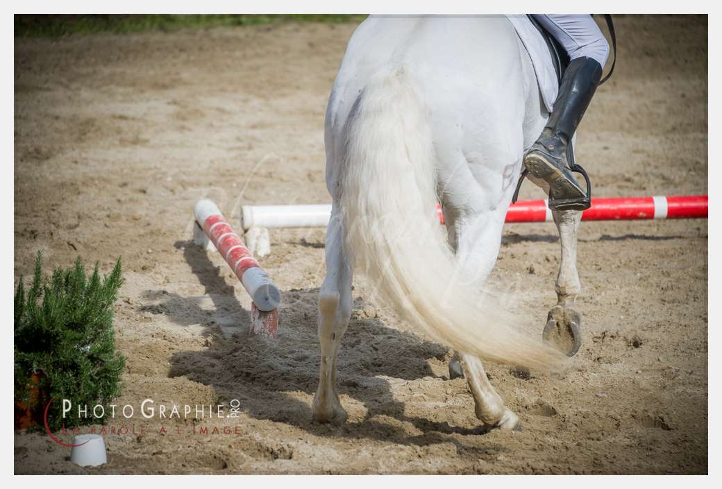 D3s141976 © by A-la-Vie.com