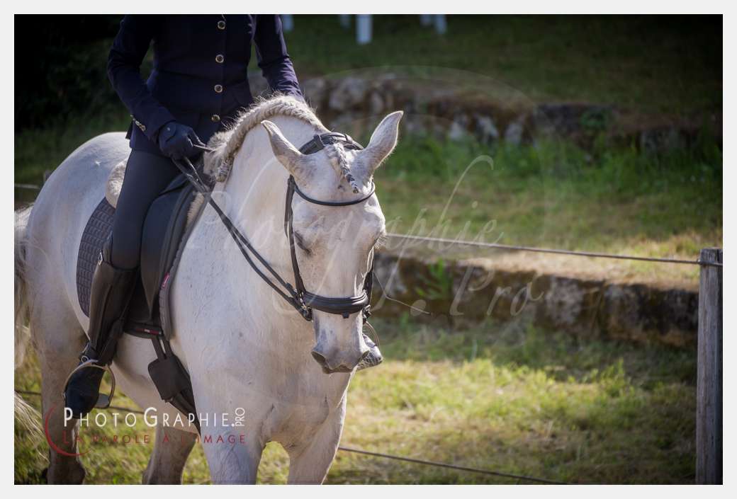 D3s142063 © by A-la-Vie.com