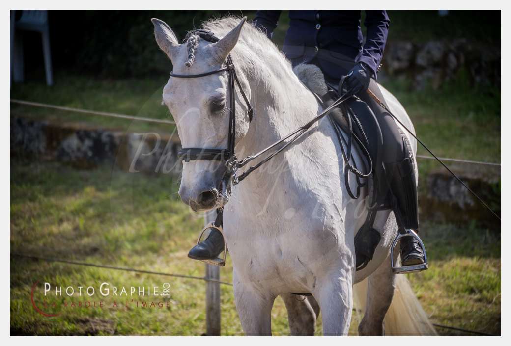 D3s142064 © by A-la-Vie.com