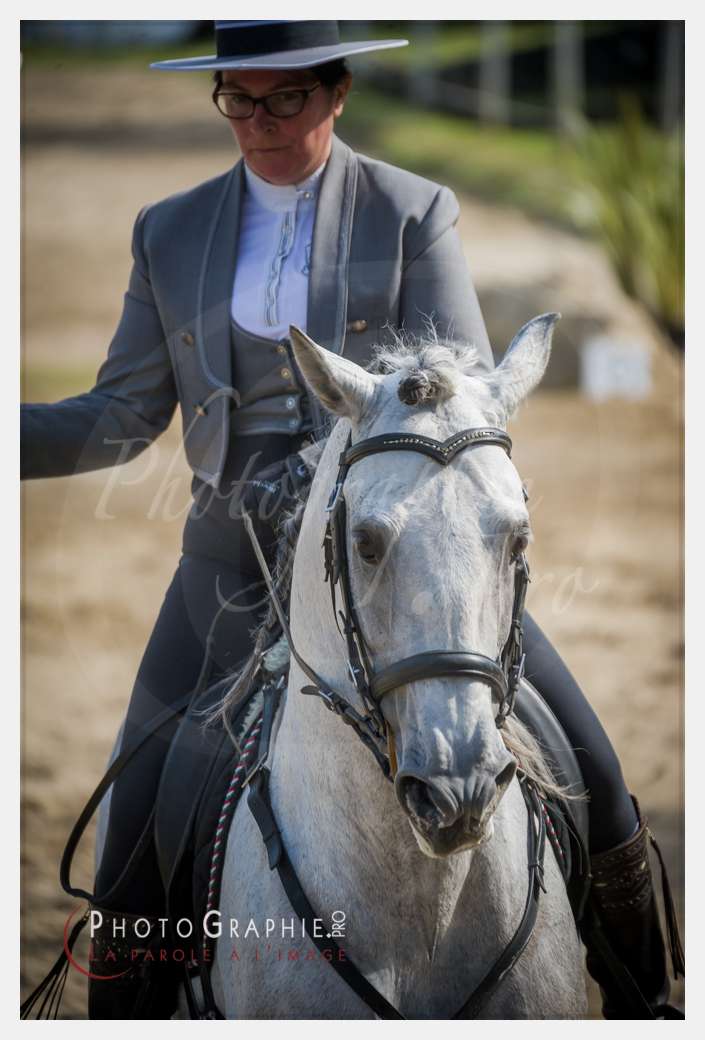 D3s142181 © by A-la-Vie.com