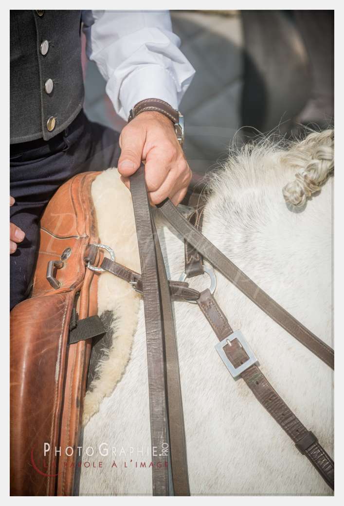 D8E_1045 © by A-la-Vie.com