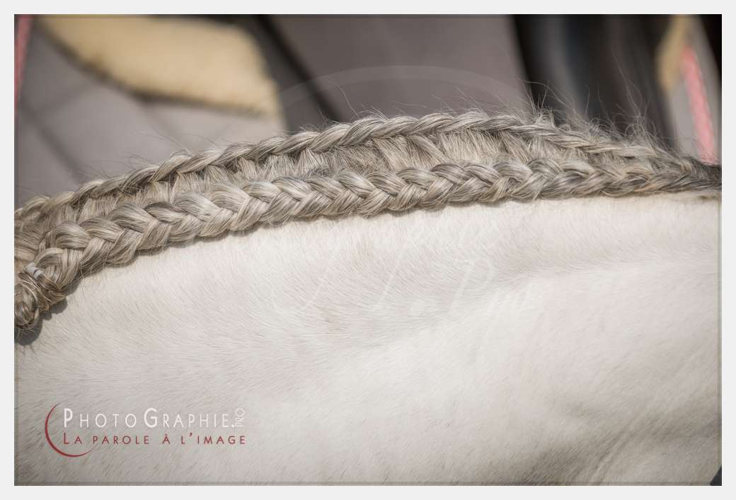 D8E_1054 © by A-la-Vie.com