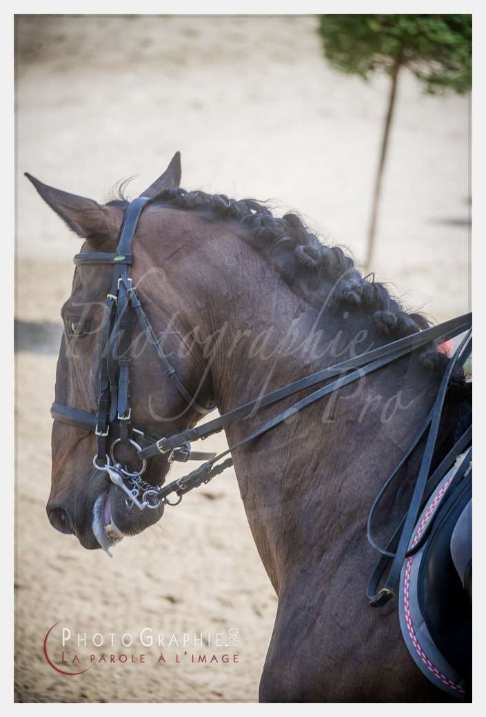 D3s142239 © by A-la-Vie.com