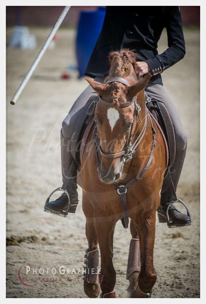 D3s142312 © by A-la-Vie.com