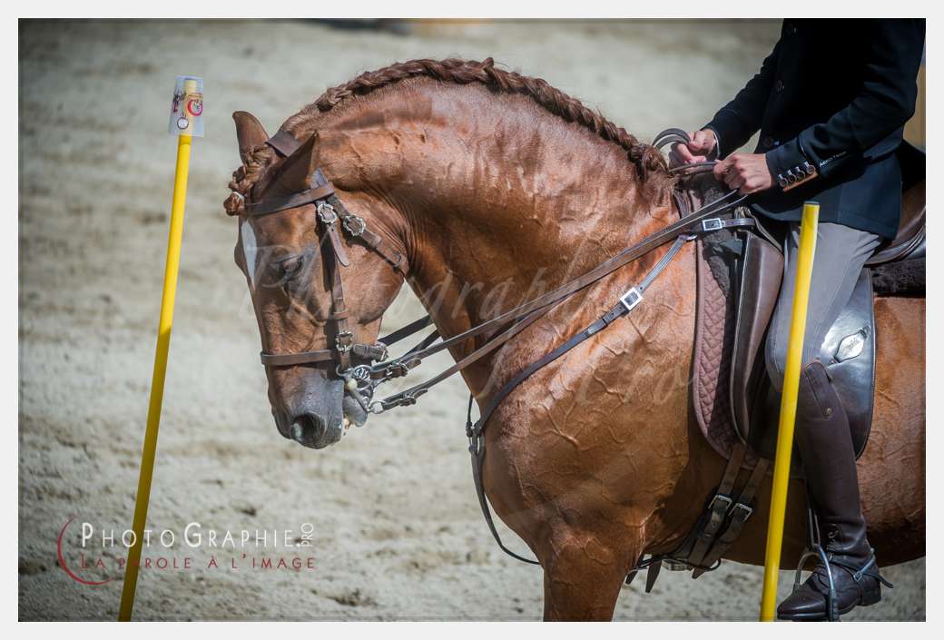 D3s142327 © by A-la-Vie.com