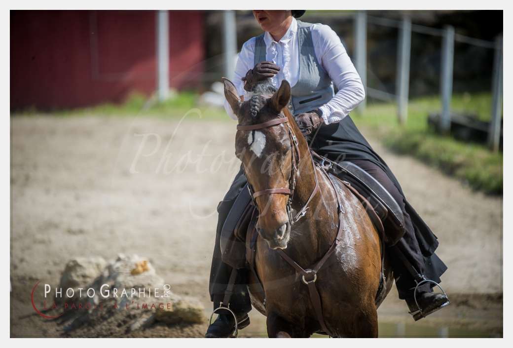 D3s142503 © by A-la-Vie.com