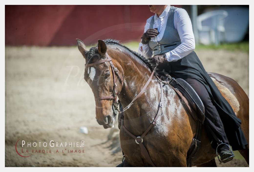 D3s142506 © by A-la-Vie.com