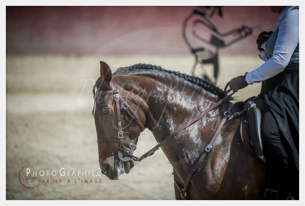 D3s142510 © by A-la-Vie.com