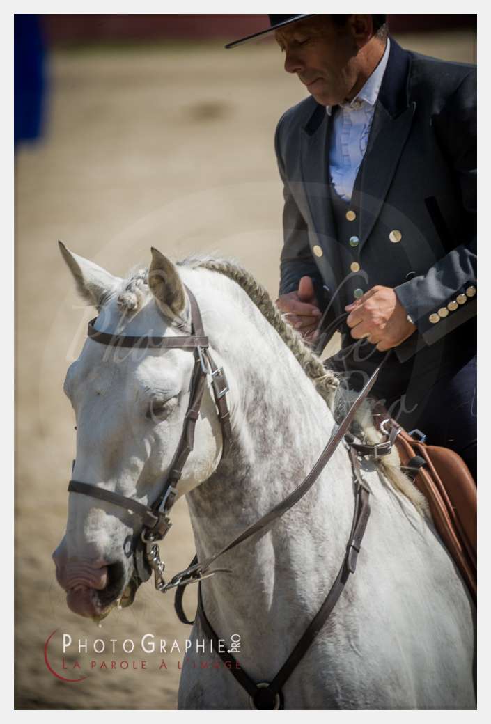 D3s142513 © by A-la-Vie.com