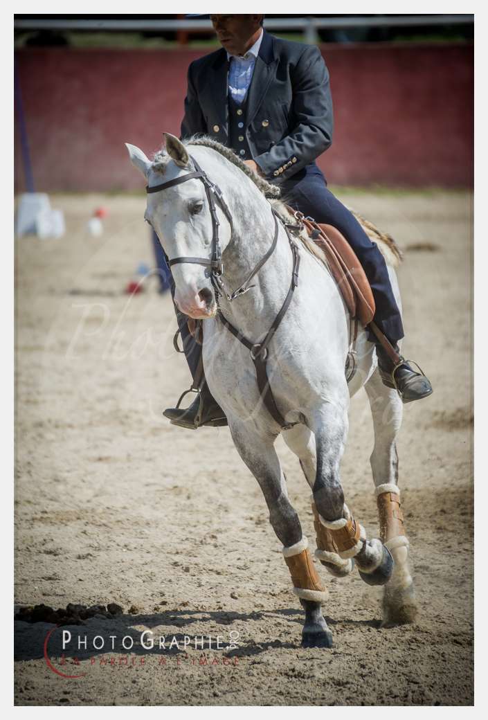 D3s142536 © by A-la-Vie.com