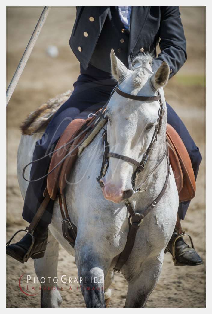 D3s142682 © by A-la-Vie.com