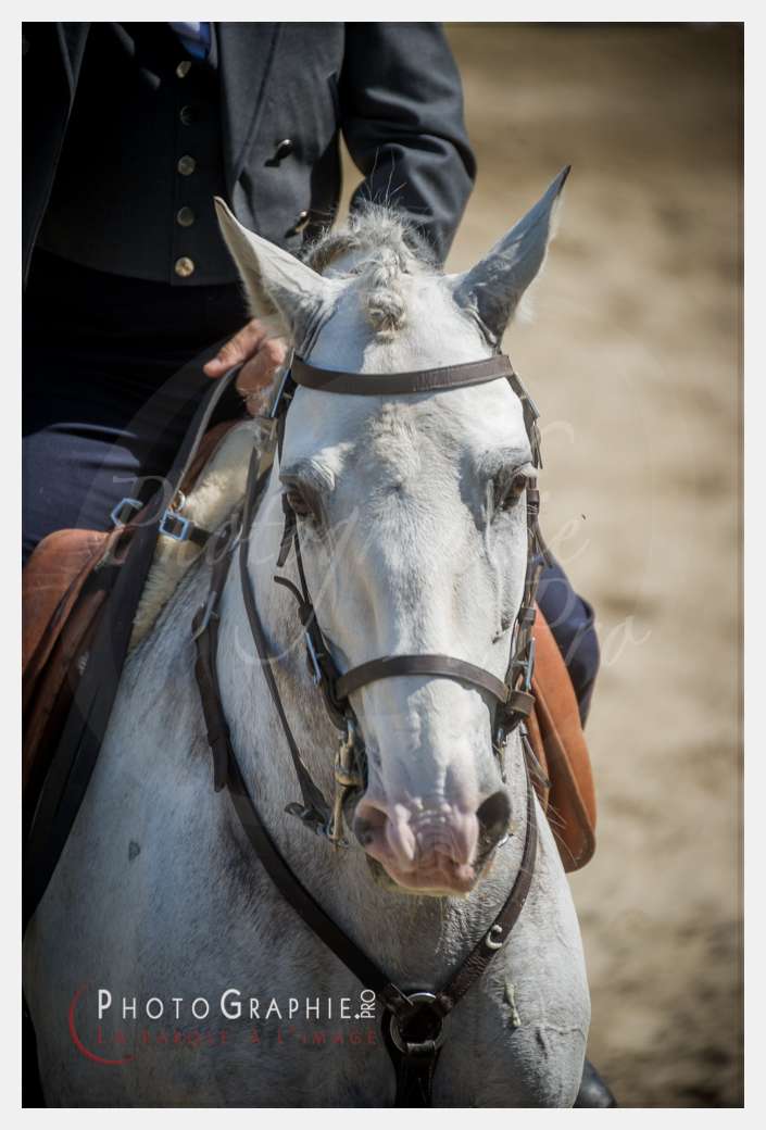 D3s142687 © by A-la-Vie.com