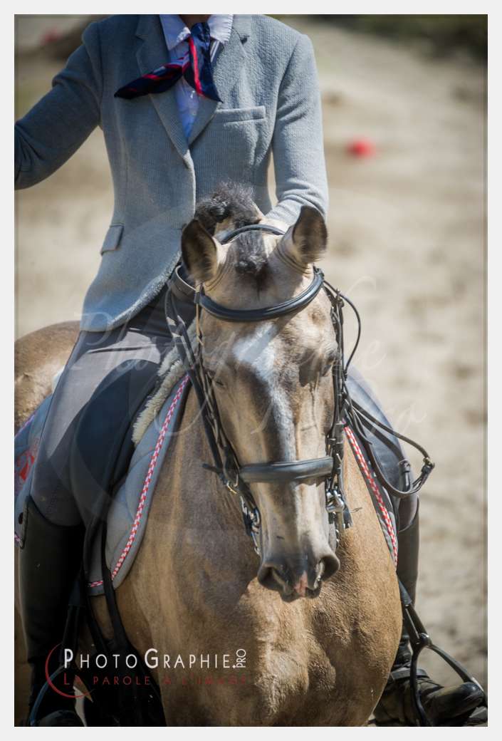 D3s142825 © by A-la-Vie.com