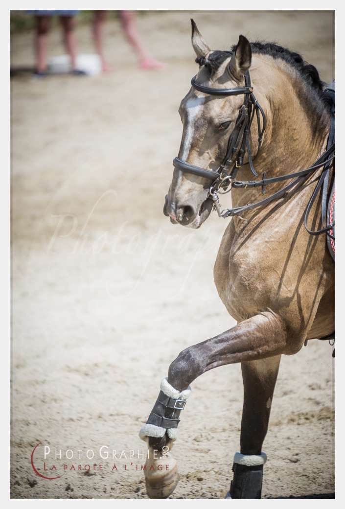 D3s142828 © by A-la-Vie.com