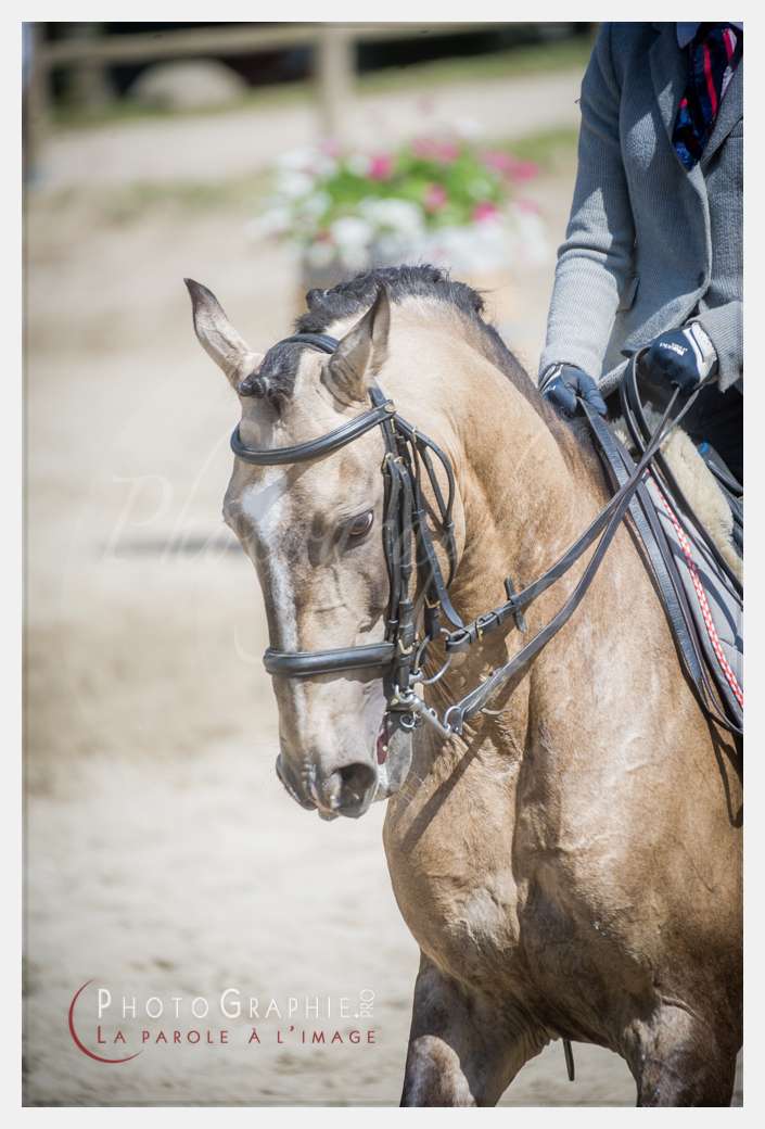 D3s142832 © by A-la-Vie.com