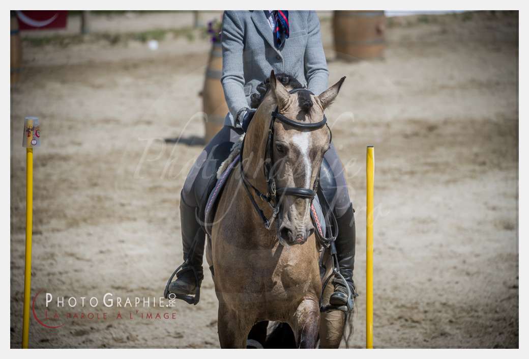 D3s142843 © by A-la-Vie.com