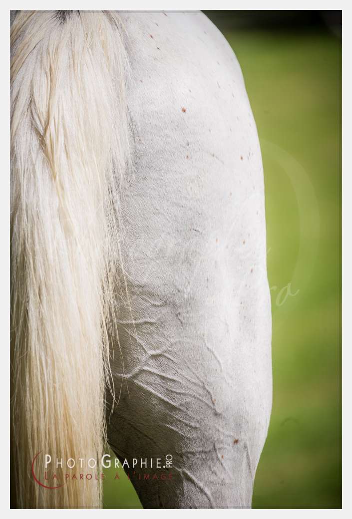 D3s142867 © by A-la-Vie.com