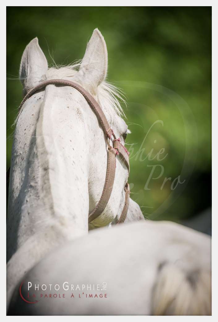 D3s142872 © by A-la-Vie.com