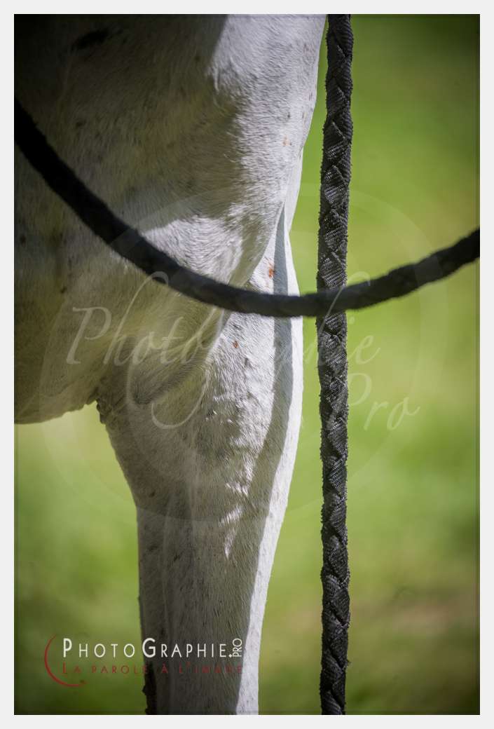 D3s142892 © by A-la-Vie.com