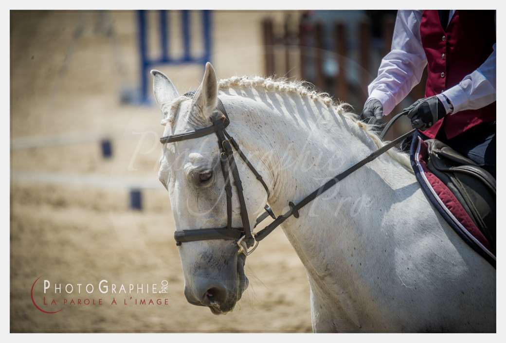 D3s143520 © by A-la-Vie.com