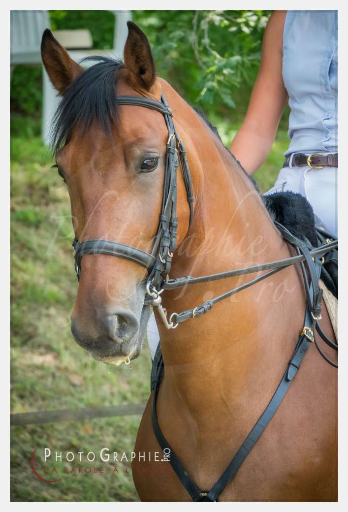 S1025839 © by A-la-Vie.com