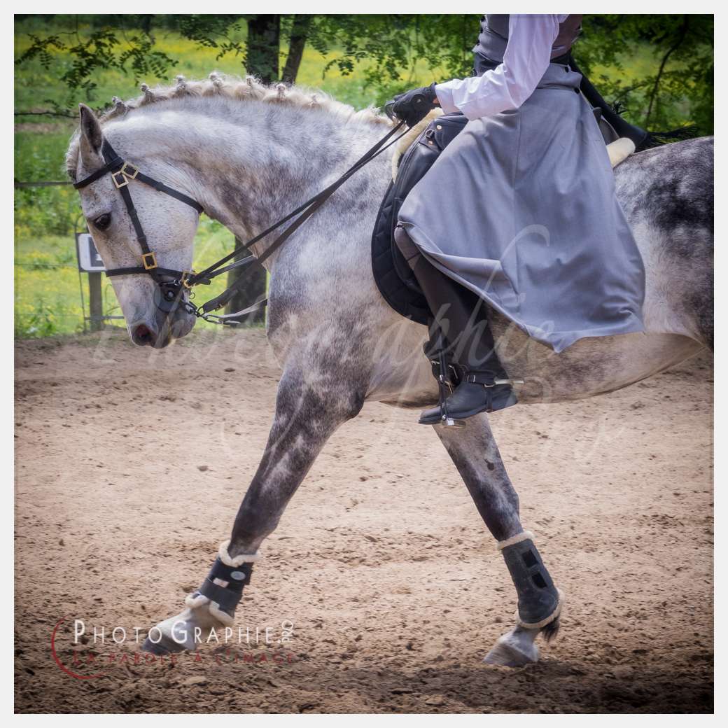 S1026054 © by A-la-Vie.com