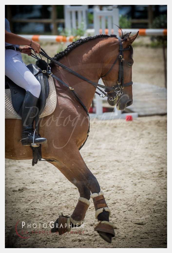 D3s144017 © by A-la-Vie.com