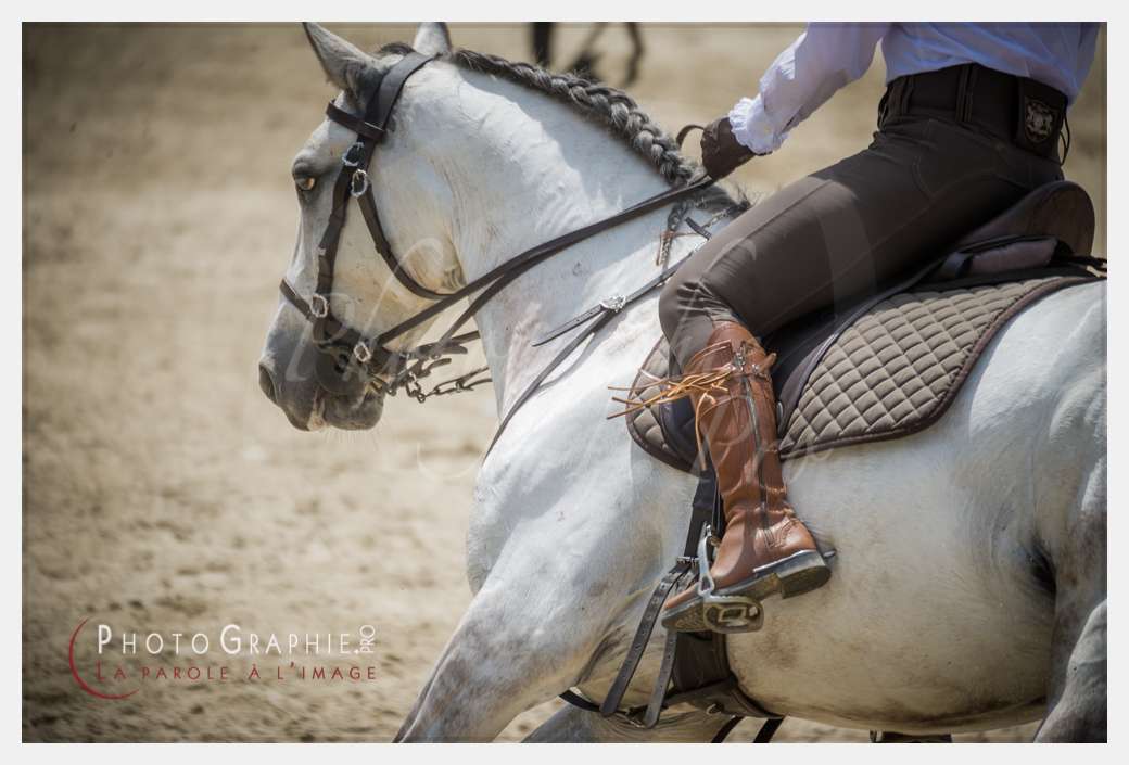 D3s144046 © by A-la-Vie.com