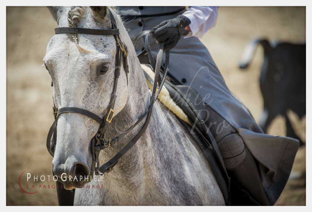 D3s144150 © by A-la-Vie.com