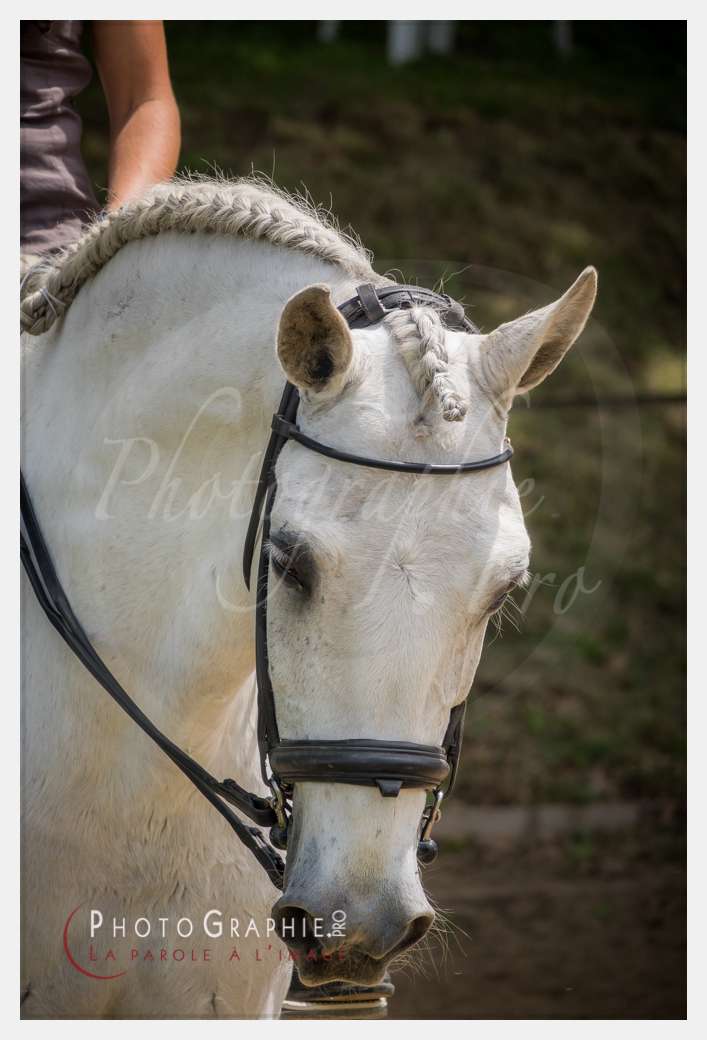 S1026436 © by A-la-Vie.com