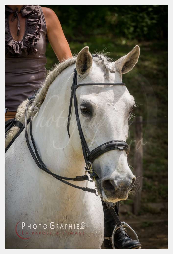 S1026442 © by A-la-Vie.com