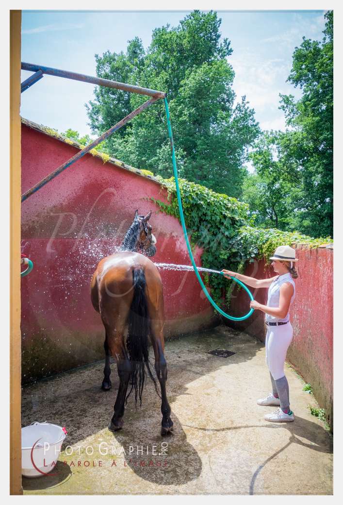 S1026533 © by A-la-Vie.com