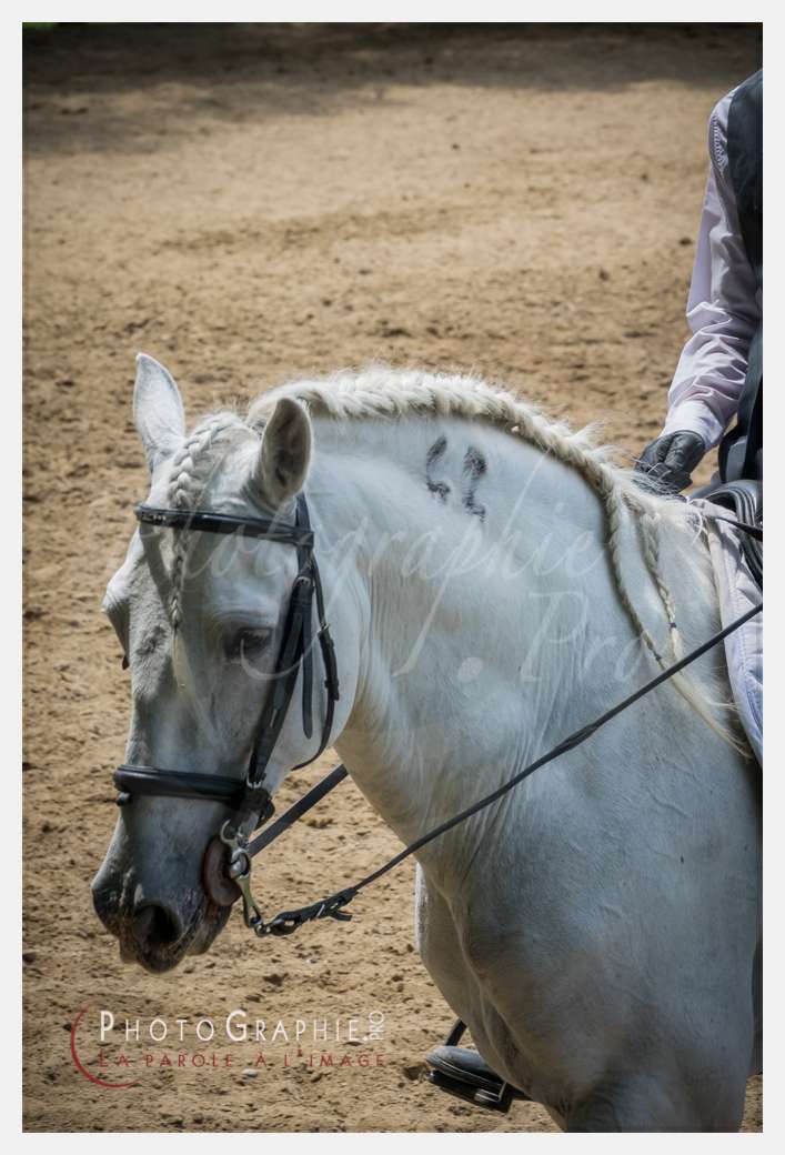 S1026550 © by A-la-Vie.com