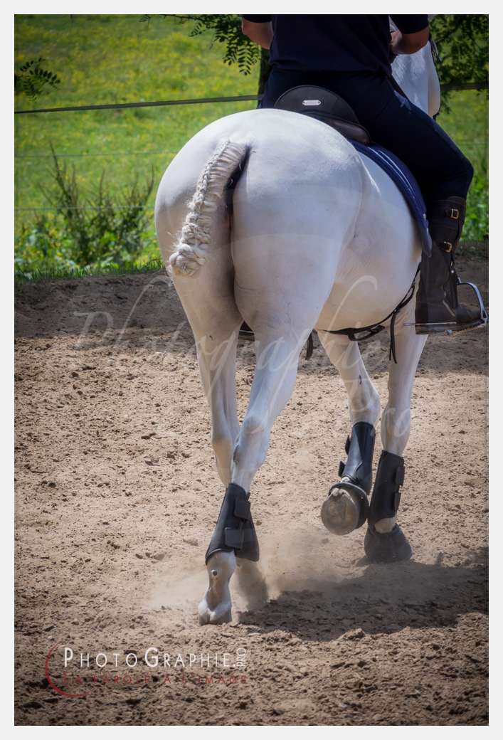 S1026568 © by A-la-Vie.com