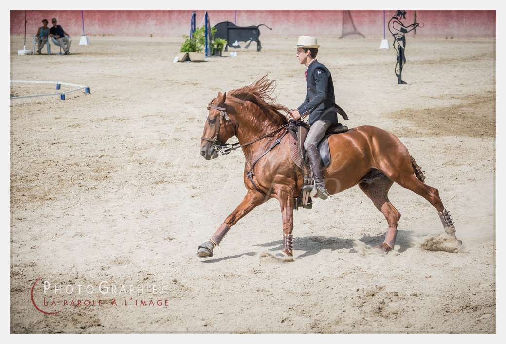 D6019244 © by A-la-Vie.com