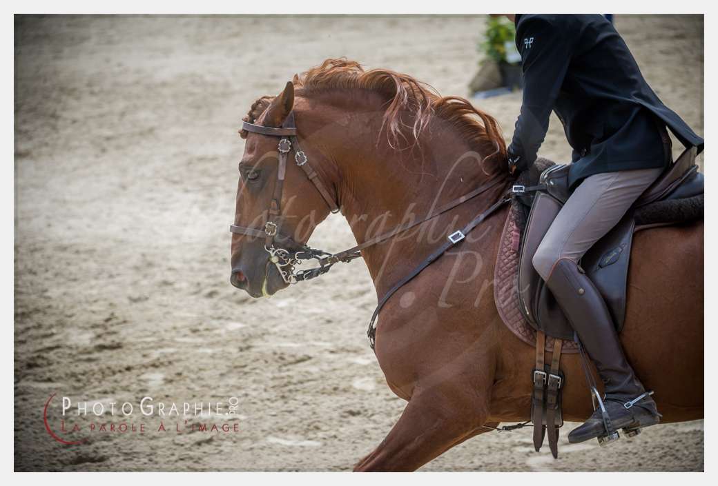 D3s144779 © by A-la-Vie.com