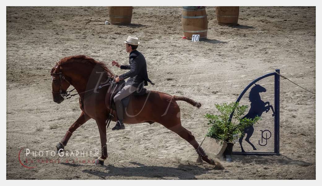 S1026980 © by A-la-Vie.com